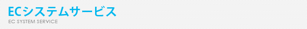 ECシステムサービス