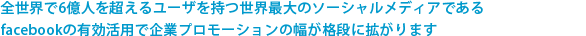 facebook(フェイスブック)構築・広告サービス | 企業側からユーザへの一方的な情報発信だけでなく、双方向のコミュニケーションを低コストで実現できるのが最大の特徴です