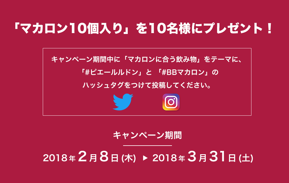 マカロンプレゼント